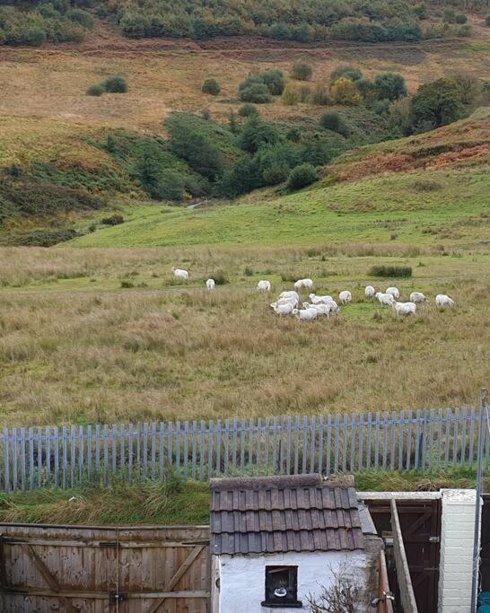 Welsh Miners Cottage Four Bedroom House Treherbert المظهر الخارجي الصورة