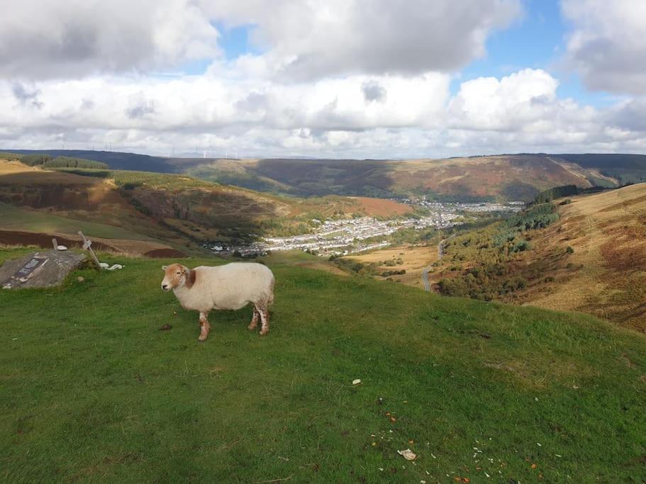 Welsh Miners Cottage Four Bedroom House Treherbert المظهر الخارجي الصورة